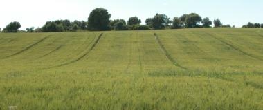 Jornada de campo sobre agricultura de conservación en cultivos extensivos, en Huesca