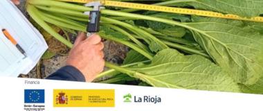 jornada técnica campo demostrativo hortícolas