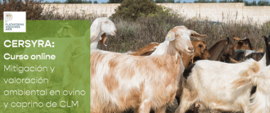 Environmental assessment and mitigation of dairy and meat systems in sheep and goats in CLM