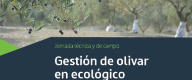 Gestión de olivar en ecológico en La Rioja