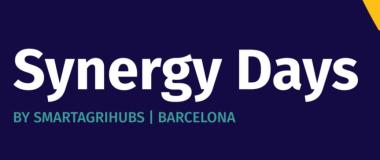 Synergy days en akisplataforma.es