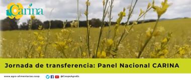 Panel nacional Carina