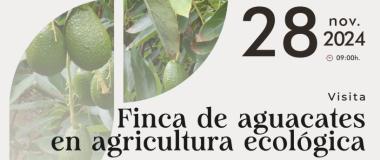 Aguacates en agricultura ecológica