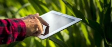 tablet