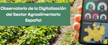 Observatorio de digitalización