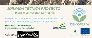 cartel de la jornada