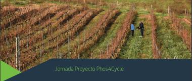 Ilustración de un campo en el proyecto Phos4Cycle