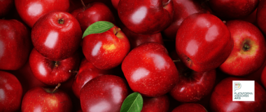 MANZANAS 40ª Jornada frutícola de Mas Badia 2025