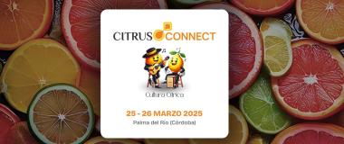 cartel del evento citrus connect 2025 en akisplataforma