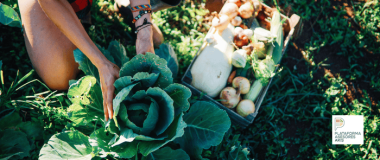 curso de agricultura ecológica para asesores