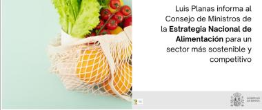 foto dunha cesta de comida