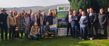 PARTICIPANTES EN EL GRUPO OPERATIVO