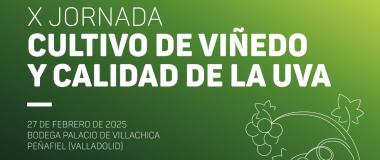 cartel del evento 