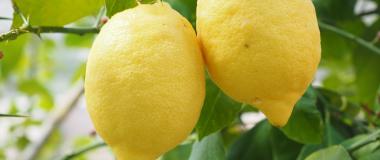 citron