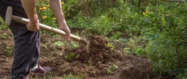 Agricultura de autosuficiencia