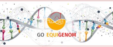 LOGO DEL GRUPO OPERATIVO GO EQUIGENOM