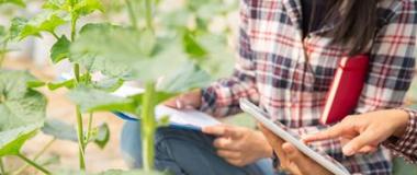 asesora y agricultor sobre el terreno