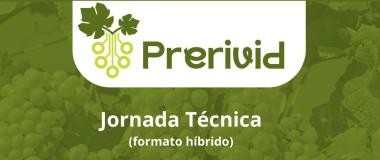 cartel del evento 