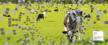 vaca en el campo con detalles digitales