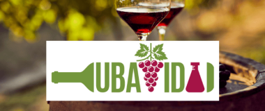 FOTO CON VINOS Y UVAS Y EL LOGO DEL GO UBAVIDA