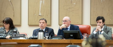 El ministro durante su comparecencia