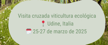 CARTEL DEL EVENTO