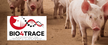 logo de GO BIO4TRACE