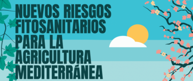cartel jornada agromurcia 2025