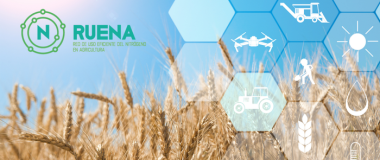20 jornada RUENA 2025