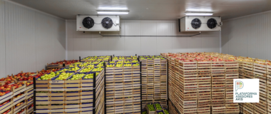 FRIGO AGRO