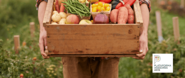 AGRICULTURA ECOLÓGICA