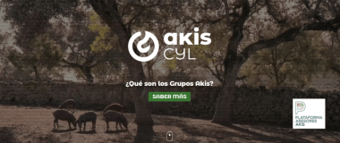 logo de akiscyl