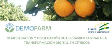 cartel del evento 