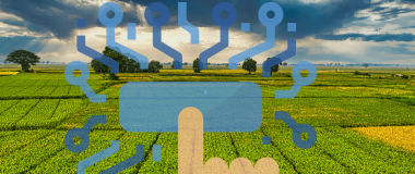 ilustración de un campo de cultivo digitalizado