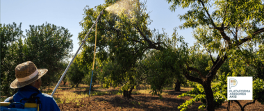 PRODUITS PHYTOSANITAIRES D'AGRICULTURE DE PRÉCISION