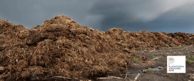 CURSO BIOFERTILIZANTES