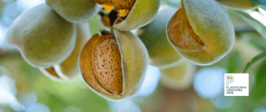 almendro