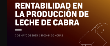 cartel del evento 