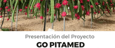 cartel del evento 