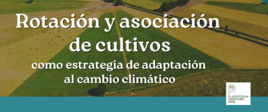 cartel del evento 