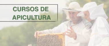 Curso de apicultura
