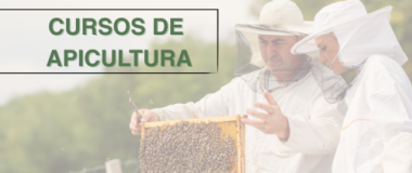 Curso de apicultura