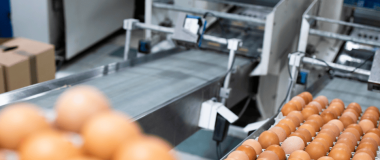 industria alimentaria