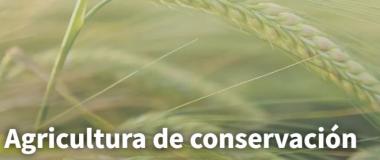 agricultura de conservación