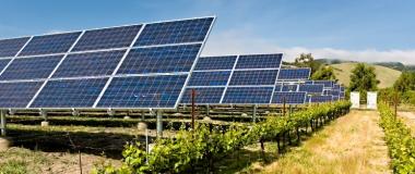 camp agrovoltaic