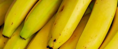 platano