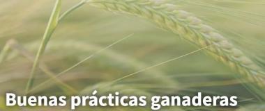 buenas prácticas ganaderas