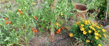 espacio-inquietudes-agricultura-ecologica-
