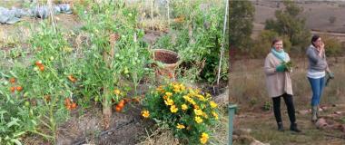 espacio-inquietudes-agricultura-ecologica-