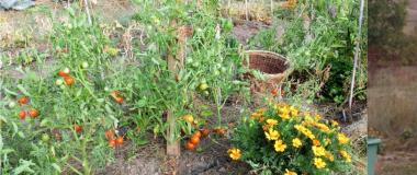 espacio-inquietudes-agricultura-ecologica-1-2048x610